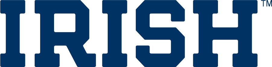 Notre Dame Fighting Irish 1994-2006 Wordmark Logo iron on transfers for clothing
